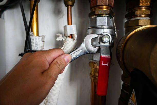 Best Clogged Drain Plumber  in West Haven, UT